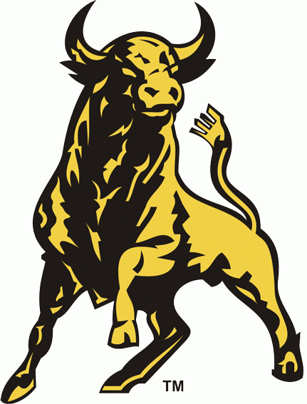 Belleville Bulls 1981-pres alternate logo v2 iron on transfers for T-shirts